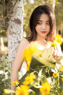 包公赔情